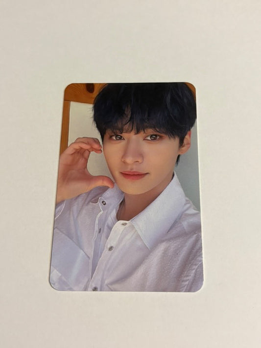 Stray Kids - Nacific R14. (Member Choice.)