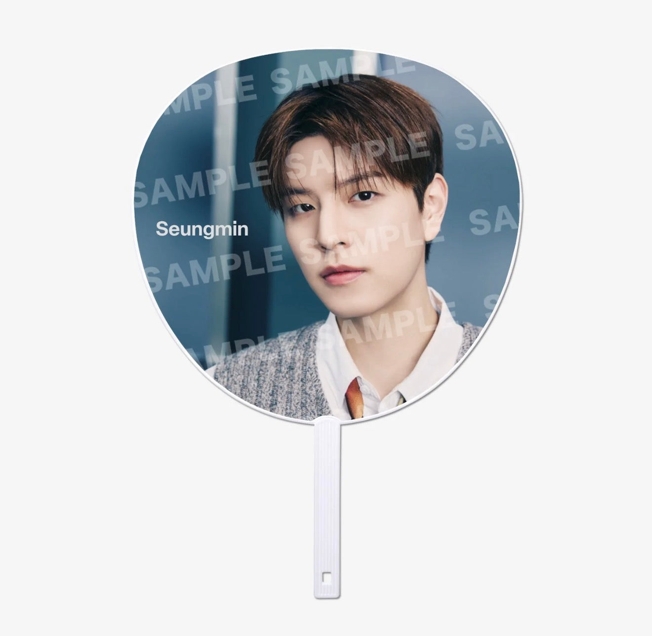 [PRE-ORDER.] STRAY KIDS - RUN IT JAPAN TOUR MD (IMAGE PICKET.)